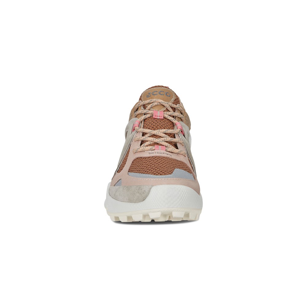 Womens Hiking Shoes - ECCO Biom C-Trail Low - Multicolor - 4290ULZPW